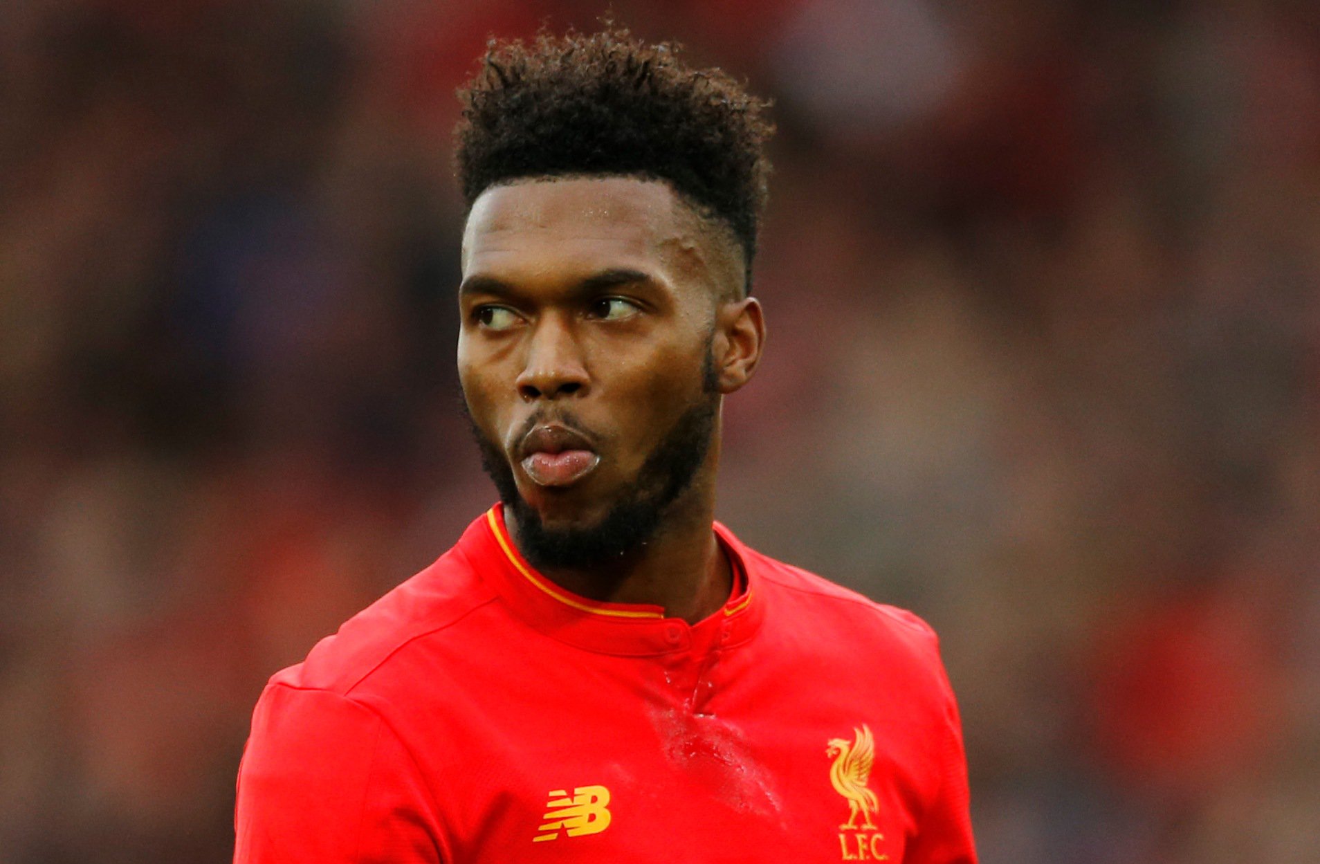 Ảnh bài viết Huyền thoại Arsenal khuyên Sturridge hết lòng