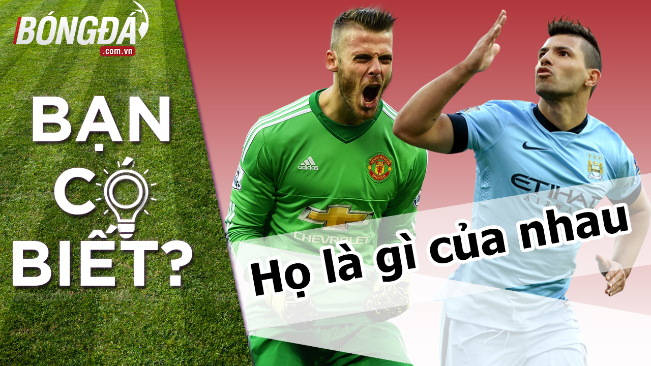 Ảnh bài viết Họ là gì của nhau | Số 3