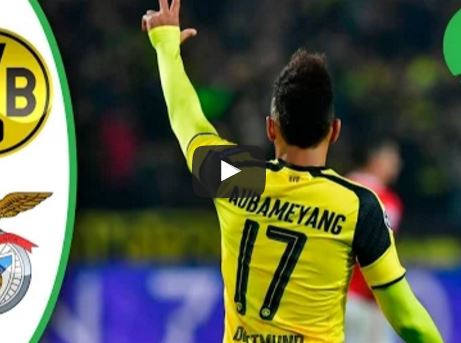 Ảnh bài viết Borussia Dortmund 4-0 Benfica (lượt về vòng 16 đội Champions League)
