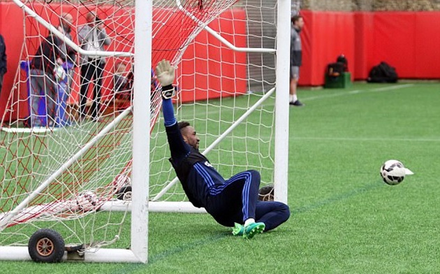 Ảnh bài viết Defoe thất bại thảm hại khi tập làm thủ môn
