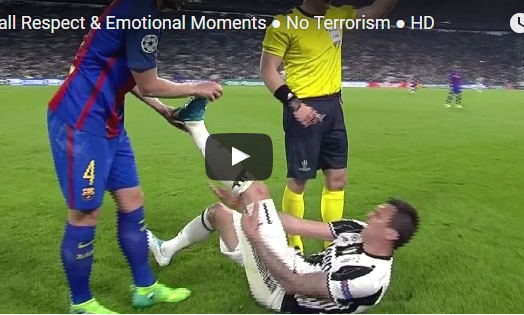 Ảnh bài viết Những khoảnh khắc gây xúc động nhất 2017