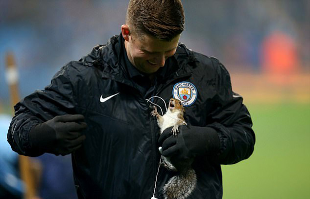 Chú sóc bướng bỉnh làm náo loạn sân đấu Man City