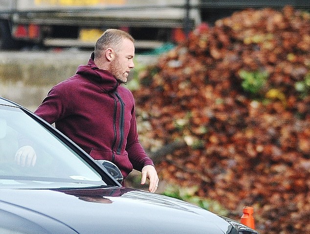 Ảnh bài viết Rooney lao động cực nhọc, vợ thì dắt con đi du hí