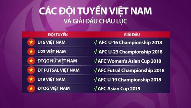 VFF cần 70 tỷ đồng cho 6 đội tuyển dự VCK châu Á