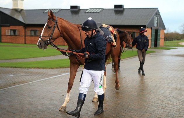 Ảnh bài viết Từ bỏ bóng đá, Michael Owen quyết làm nài ngựa chuyên nghiệp