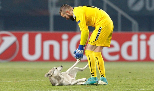 "Lord" Bendtner nổ súng bất chấp sự quấy rối của vị khách không mời