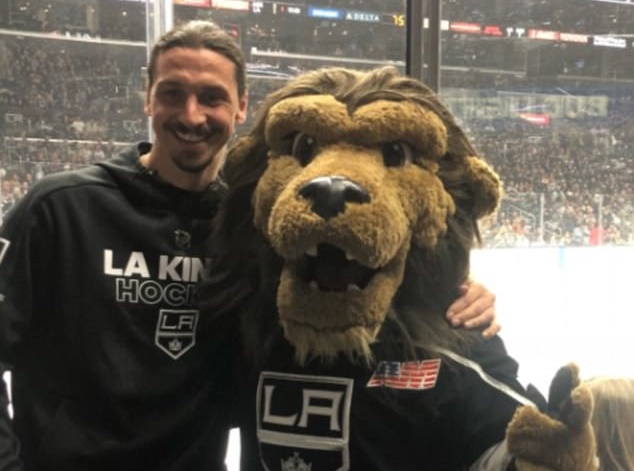 Ảnh bài viết 'Sư tử chạm mặt sư tử', Ibrahimovic tận hưởng cuộc sống ở LA Galaxy