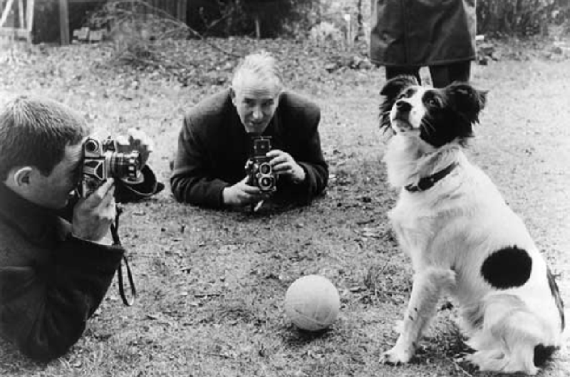 World Cup 1966 và câu chuyện về người hùng… 4 chân
