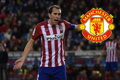 Ảnh bài viết Man Utd dẫn đầu thương vụ chiêu mộ trung vệ 'thép' Nam Mỹ