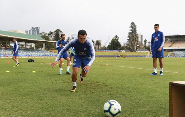 Ảnh bài viết Lấy lòng Sarri, Fabregas lẫn Pedro trở thành "con ong chăm chỉ" trên sân tập