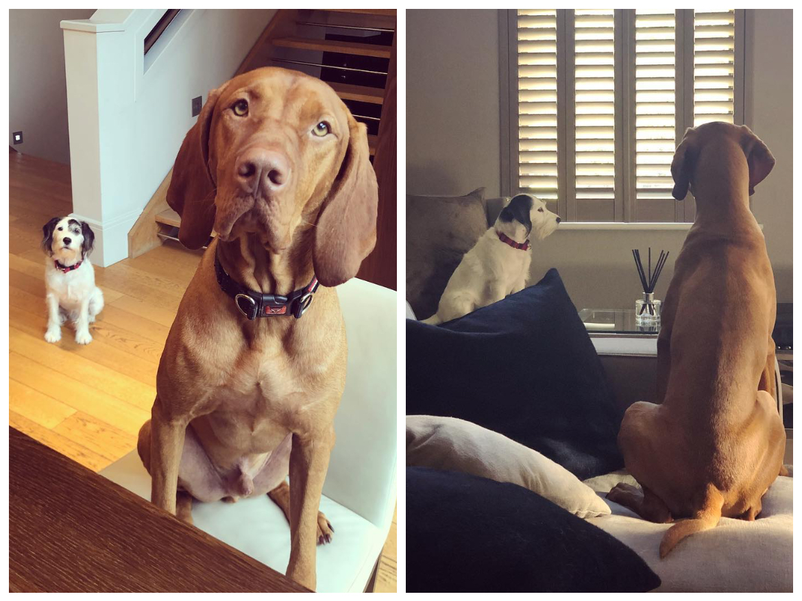 Ảnh bài viết Mỗi khi Smalling khoác áo Man United thì có kẻ 'đứng ngồi không yên'