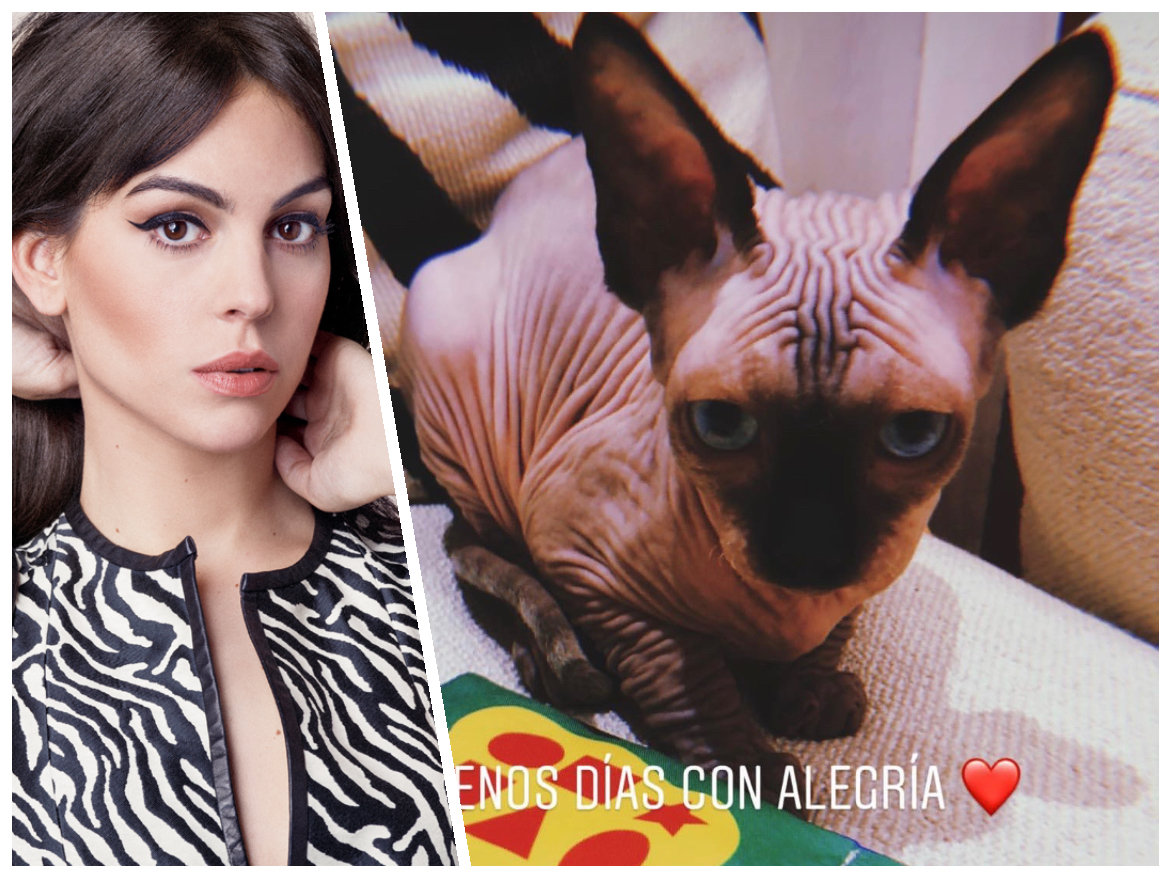 Ảnh bài viết Juventus thất bại vì điềm xui từ bạn gái của Ronaldo?