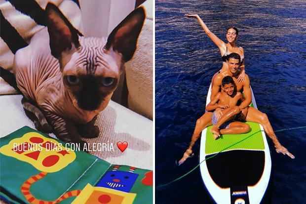 Ảnh bài viết Bật mí danh tính thành viên xấu xí tại nhà Ronaldo