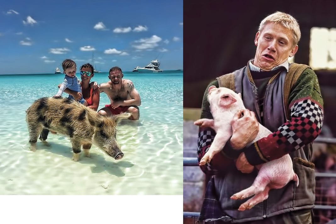 Ảnh bài viết Cầu thủ chụp ảnh với lợn: Người thần thái kẻ khổ não