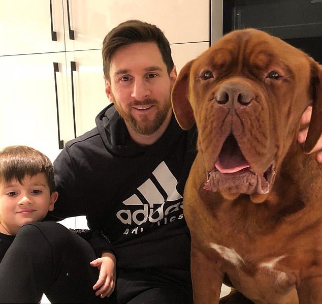 Ảnh bài viết Giật mình với chú chó "khổng lồ" Hulk của Lionel Messi