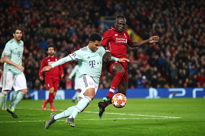 Fan Liverpool sung sướng: "Cậu ấy đúng là một con chó Bull"