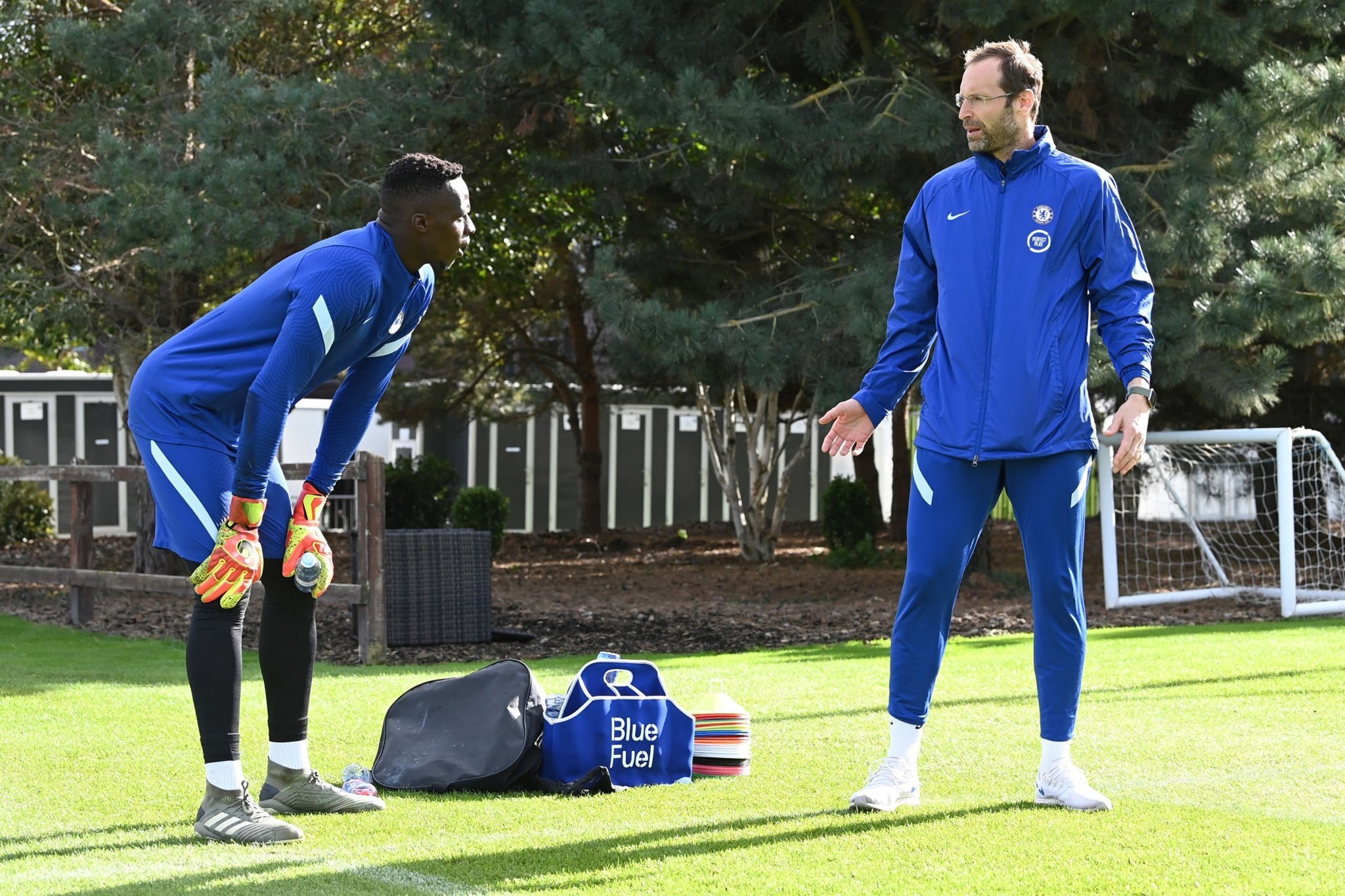 Edouard Mendy: “Tôi hy vọng Chelsea không cần Petr Cech”