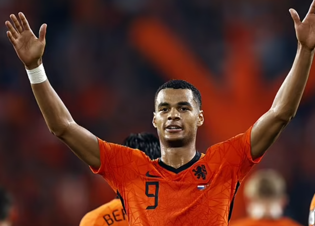 6 sao trẻ Hà Lan hứa hẹn tỏa sáng dưới thời Van Gaal