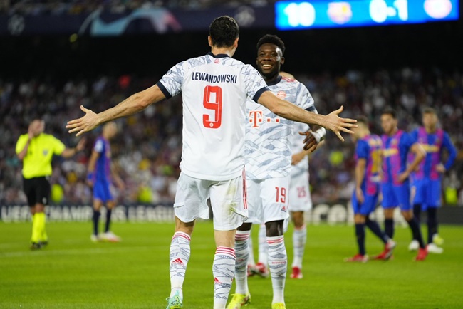 Ảnh bài viết Rượu vang hảo hạng Lewandowski