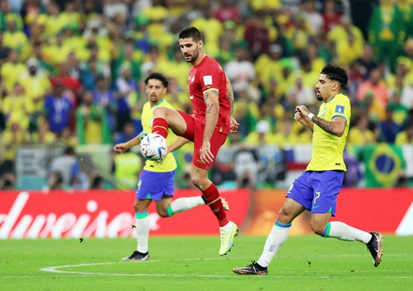 Nhận định Cameroon vs Serbia: Tỉnh dậy sau cơn mê