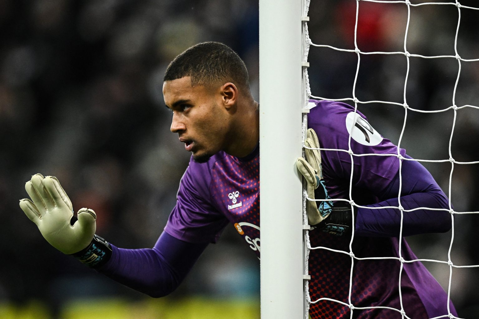 Southampton xuống hạng, Spurs muốn cuỗm 2 cái tên