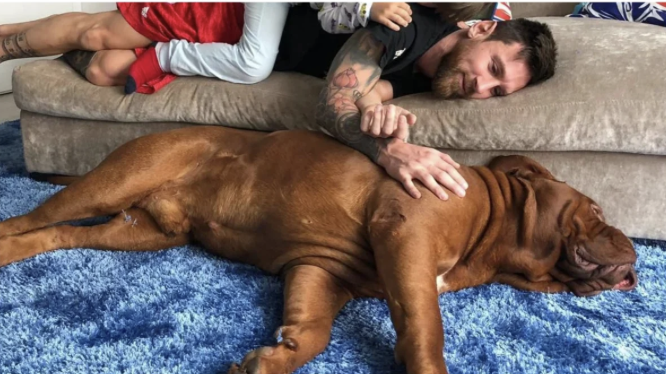 Messi có quyết định đau lòng khi chuyển đến Inter Miami