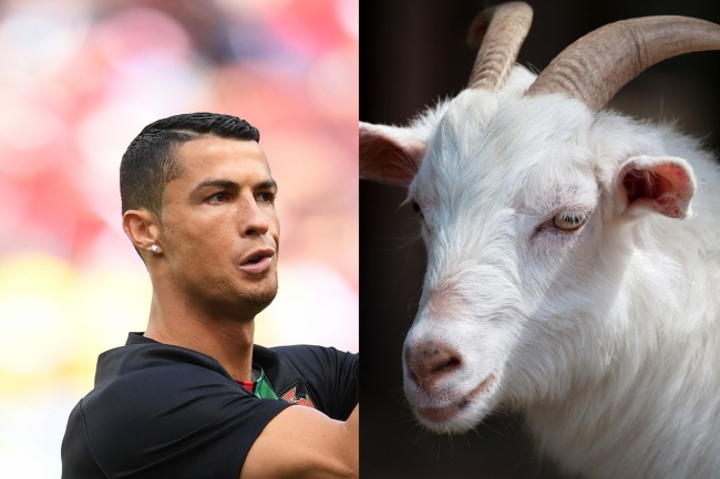 Thủ môn MU: 'Ronaldo là G.O.A.T'