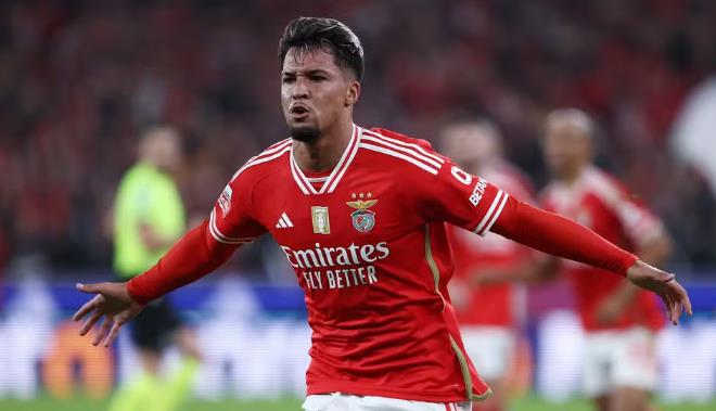 Ảnh bài viết Arsenal duyệt chi 30 triệu euro cho tiền đạo Benfica
