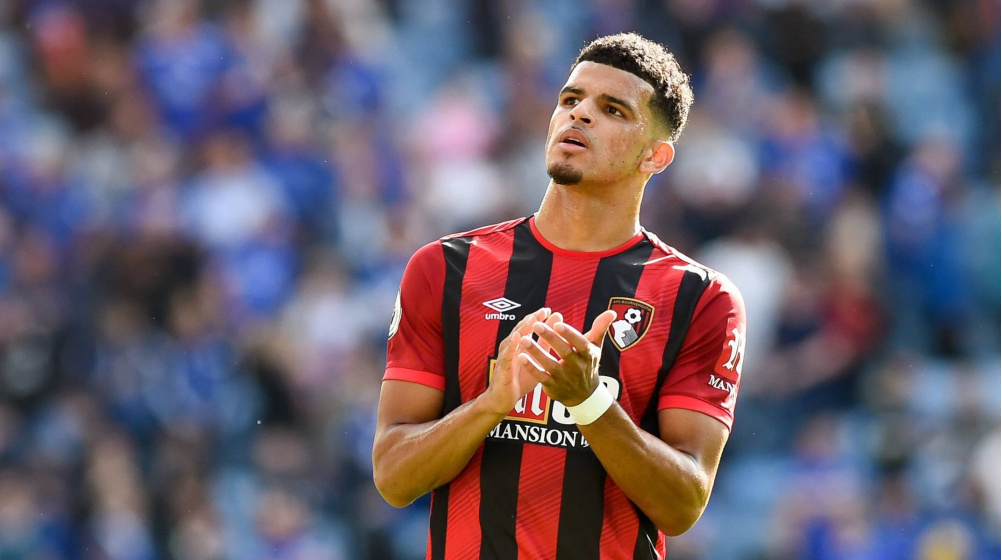 Spurs có thể bố trí Solanke ra sao?