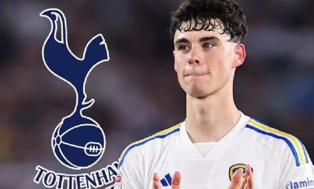 Tại sao Tottenham lại muốn có Gray bằng được? 