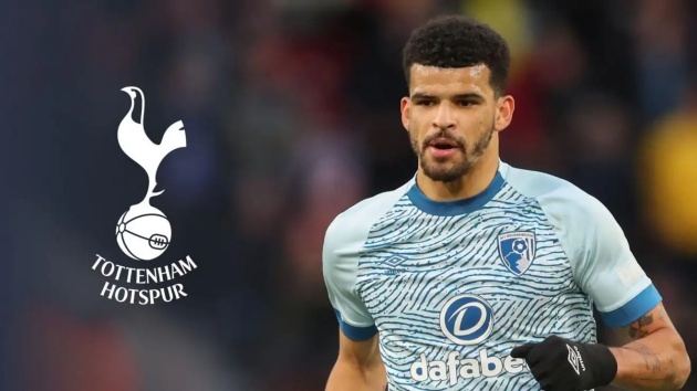 Solanke sẽ mang tới điều gì cho Tottenham?