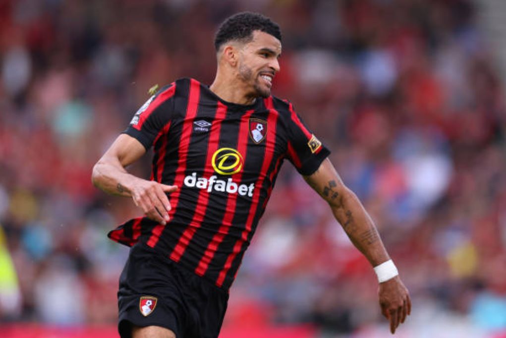 Ảnh bài viết NÓNG! Tottenham phá kỷ lục chuyển nhượng vì Solanke