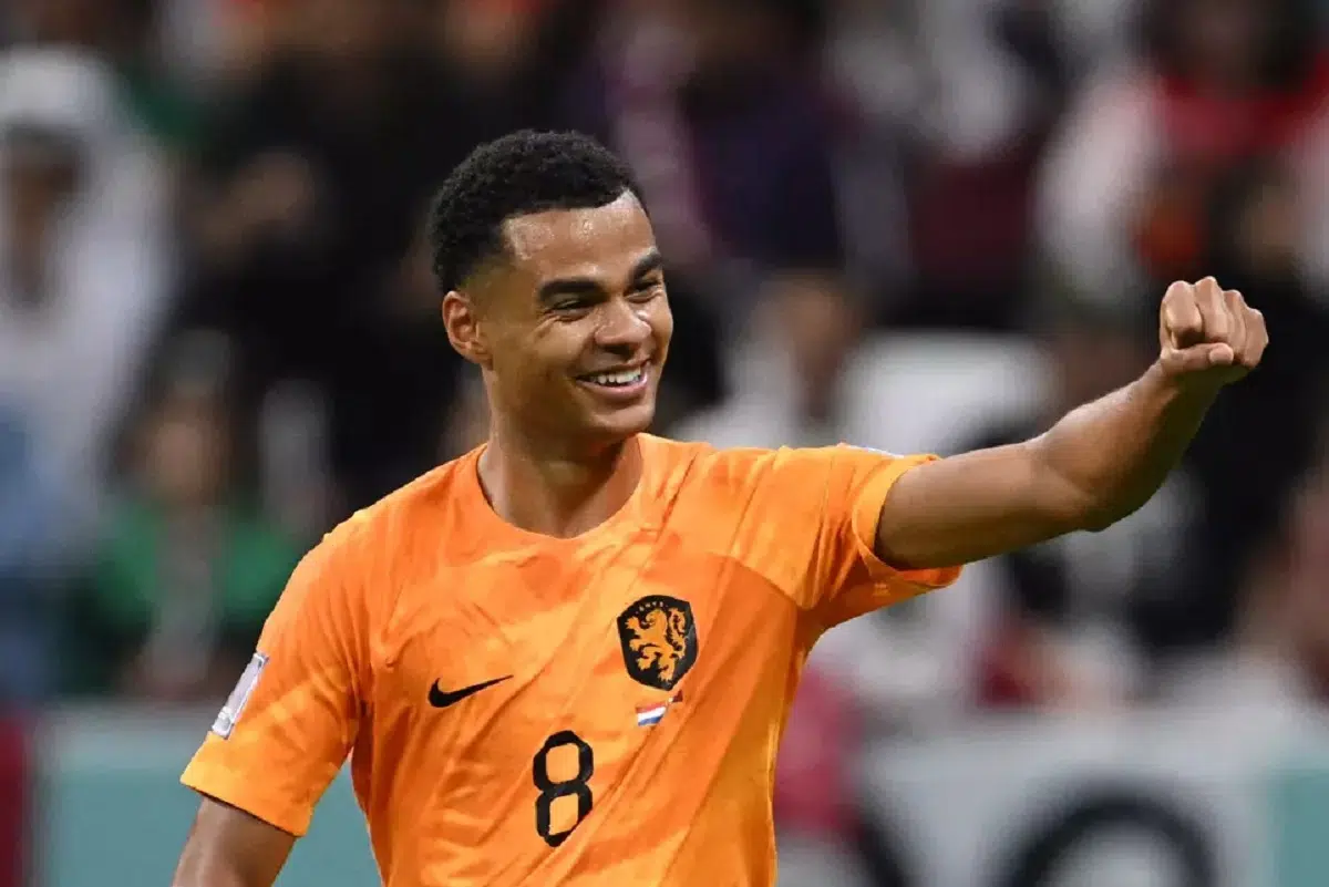 Đâu là trận chung kết EURO 2024 lý tưởng nhất?