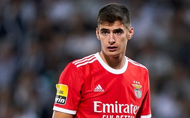 Manchester United in talks with €100m Benfica star to become Sir Jim Ratcliffe's first signing: report - Bóng Đá