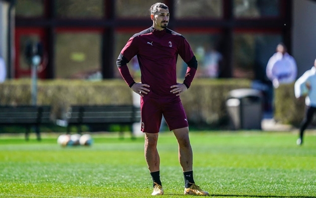 Zlatan Ibrahimovic: "Tôi rất xin lỗi"