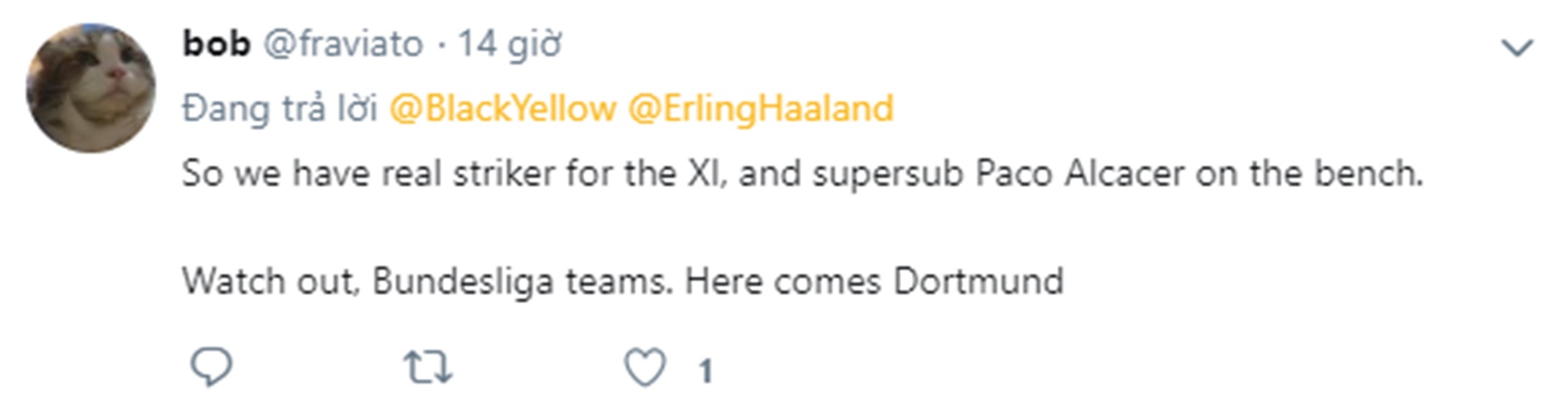 NHM Dortmund nói gì khi chiêu mộ Haaland - Bóng Đá
