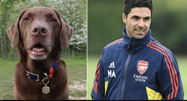 Mikel Arteta brings dog called ‘Win’ to Arsenal training to boost morale - Bóng Đá