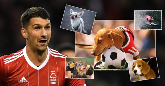 Hậu vệ ghi 2 bàn hạ Arsenal được tặng chó, đặt tên là 'Pháo thủ' - Bóng Đá