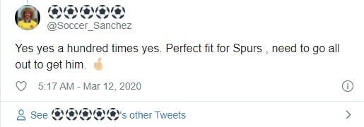 Tottenham Hotspur: Fans want ‘top player’ Raul Jimenez after transfer link - Bóng Đá