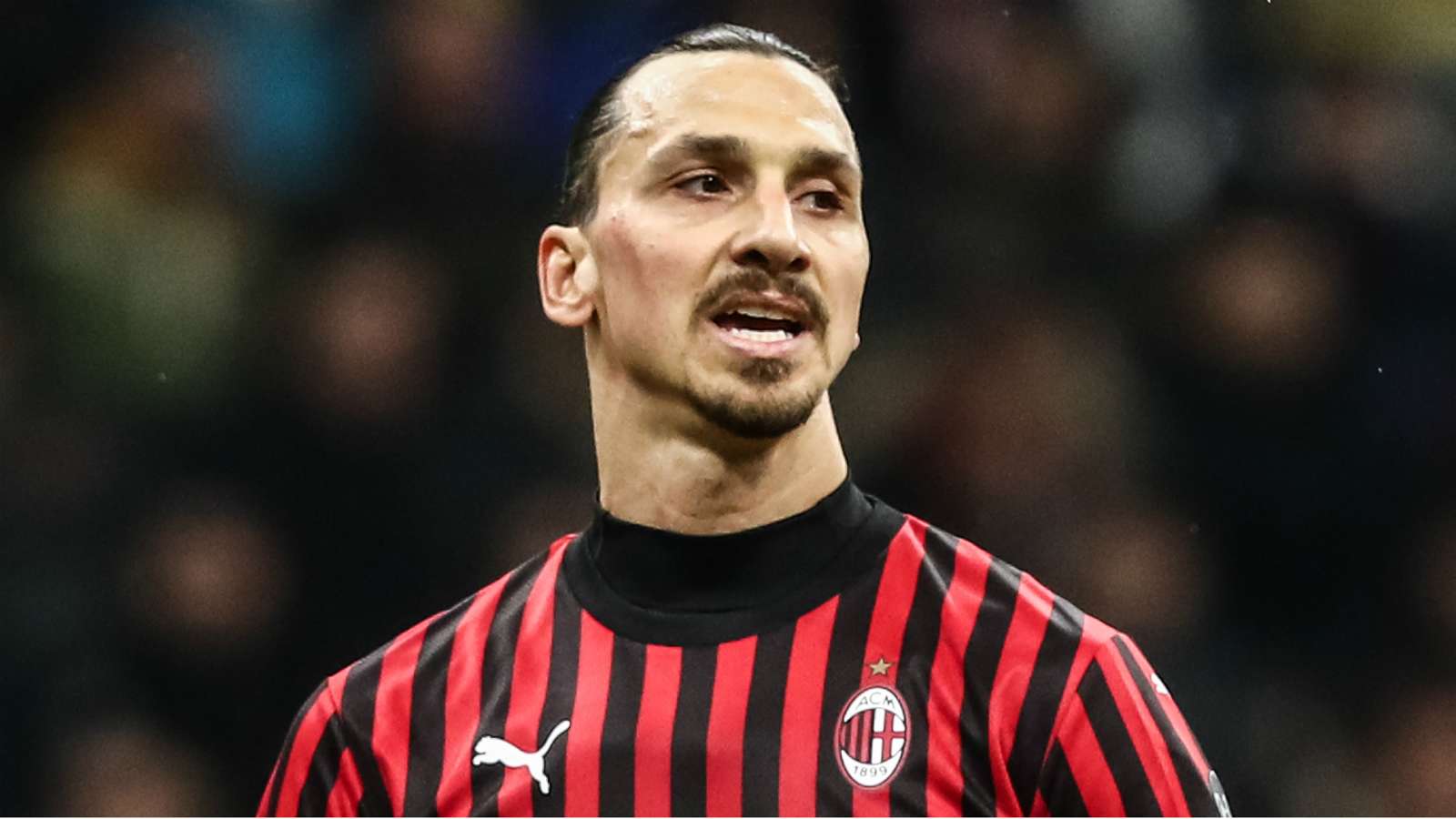 Hammarby sporting director says Zlatan could sign for the club - Bóng Đá
