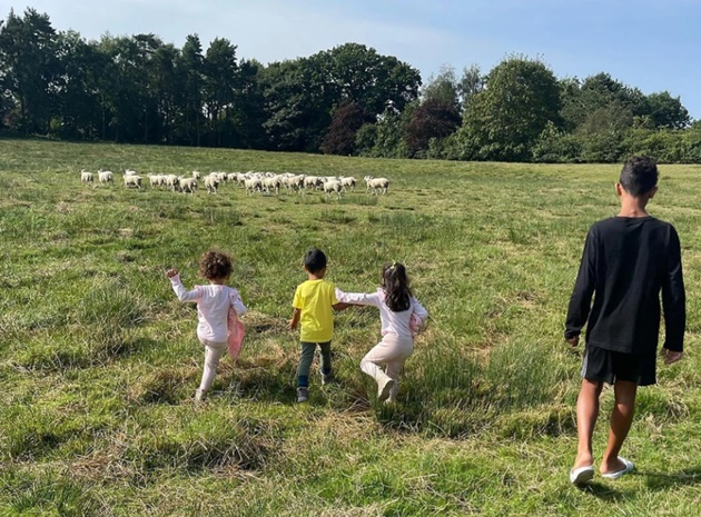 Ronaldo rời siêu biệt thự vì ... đàn cừu - Bóng Đá