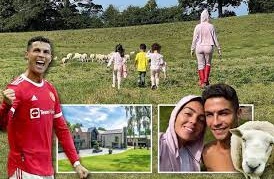 Ronaldo rời siêu biệt thự vì ... đàn cừu - Bóng Đá