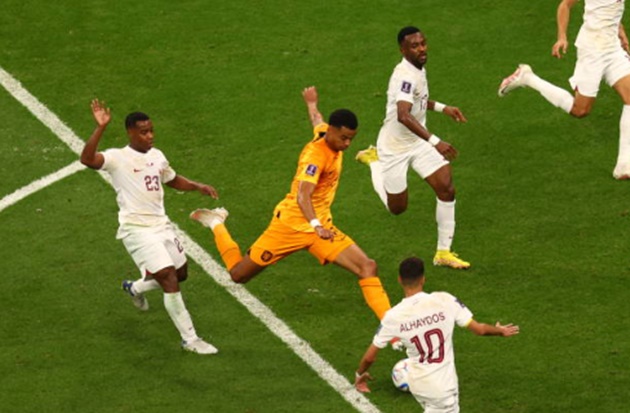 "Lại là Cody Gakpo"
