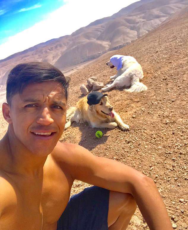 Lỡ World Cup, Alexis Sanchez giải sầu với 2 chú chó cưng - Bóng Đá