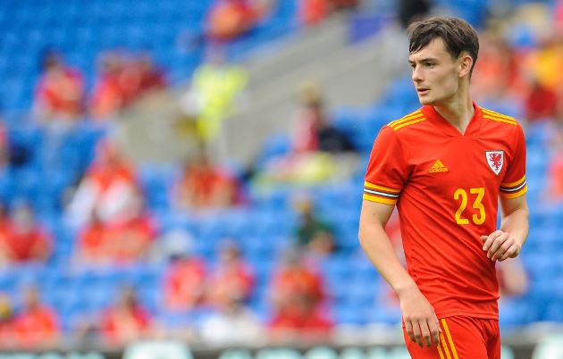 Dylan Levitt withdraws from Wales international squad with injury - Bóng Đá