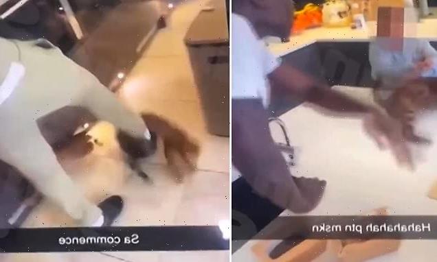 EPL: Kurt Zouma in trouble after being caught on camera abusing pet cat - Bóng Đá