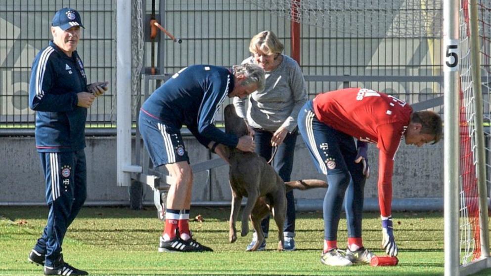 HLV Heynckes cho cún cưng thi chạy với sao Bayern - Bóng Đá
