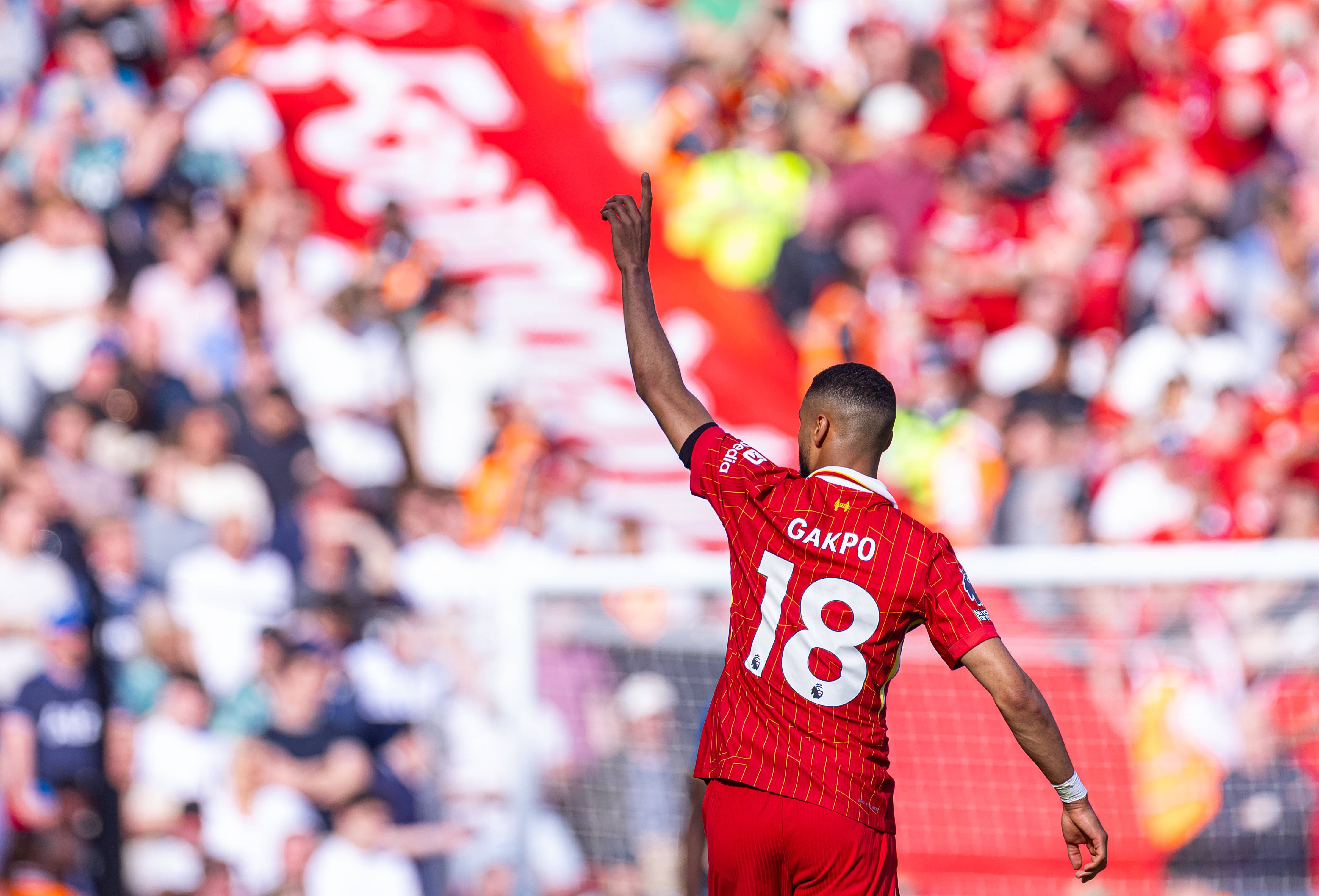 Gakpo dần chứng tỏ mình trong màu áo Liverpool.
