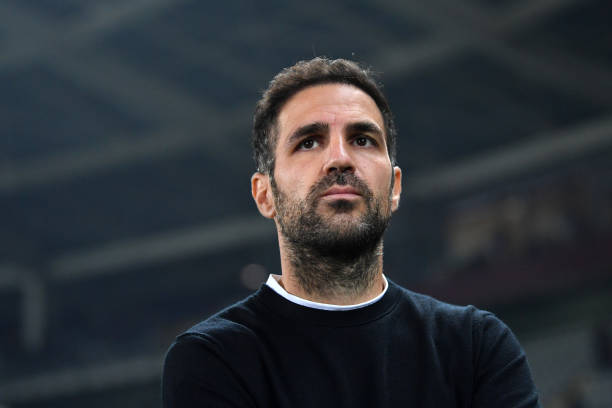 Fabregas đang xây dựng một 