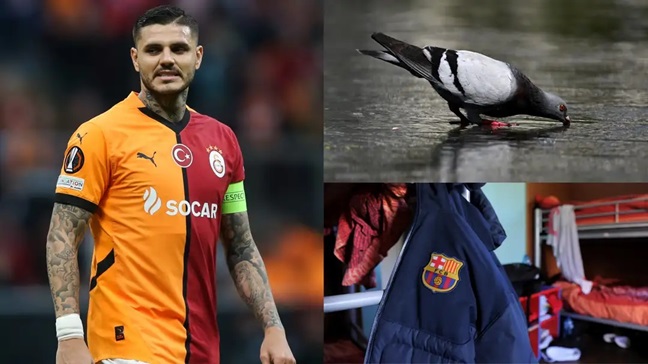 Ảnh bài viết Mauro Icardi từng khiến đồng đội ở Barca sốc khi bắn chim bồ câu rồi nướng ăn